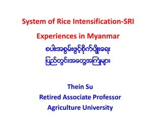 System of Rice Intensification-SRI
Experiences in Myanmar
စပါးအစြမ္းဖြင့္စိုက္ပ်ိဳးေရး
ျပည္တြင္းအေတြ႔အႀကံဳမ်ား
Thein Su
Retired Associate Professor
Agriculture University
 