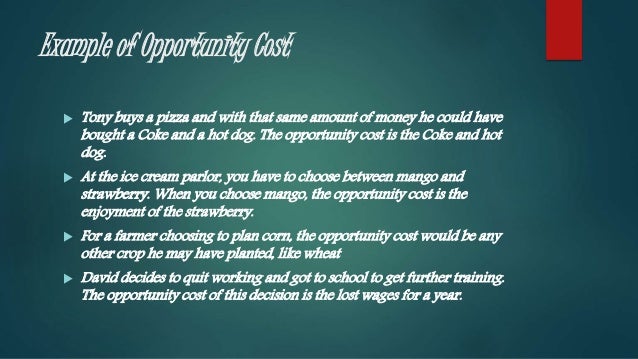 bulldog garden tools tested and reviewed by fred in the shed