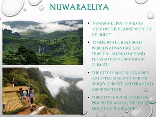 NUWARAELIYA
 NUWARA-ELIYA- IT MEANS
“CITY ON THE PLAINS” OR “CITY
OF LIGHT”
 IT OFFERS THE BEST BOTH
WORLDS ADVANTAGES, OF
TROPICAL ABUNDANCE AND
PLEASANT COOL MOUNTAIN
CLIMATE.
 THE CITY IS ALSO NICKNAMED
AS 'LITTLE ENGLAND' FOR ITS
SNOWY CLIMATE AND ERAS OLD
ARCHITECTURE.
 THIS CITY IS OVERLOOKED BY
PIDURUTALAGALA, THE TALLEST
MOUNTAIN IN SRILANKA.
 