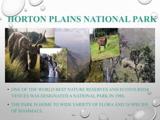 HORTON PLAINS NATIONAL PARK
• ONE OF THE WORLD BEST NATURE RESERVES AND ECOTOURISM
VENUES WAS DESIGNATED A NATIONAL PARK IN 1988.
• THE PARK IS HOME TO WIDE VARIETY OF FLORAAND 24 SPECIES
OF MAMMALS.
 