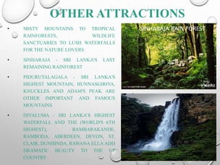 OTHER ATTRACTIONS
• MISTY MOUNTAINS TO TROPICAL
RAINFORESTS, WILDLIFE
SANCTUARIES TO LUSH WATERFALLS
FOR THE NATURE LOVERS
• SINHARAJA - SRI LANKA'S LAST
REMAINING RAINFOREST
• PIDURUTALAGALA - SRI LANKA'S
HIGHEST MOUNTAIN, HUNNASGIRIYA,
KNUCKLES AND ADAM'S PEAK ARE
OTHER IMPORTANT AND FAMOUS
MOUNTAINS
• DIYALUMA - SRI LANKA’S HIGHEST
WATERFALL AND THE (WORLD'S 6TH
HIGHEST), BAMBARAKANDE,
RAMBODA, ABERDEEN, DEVON, ST.
CLAIR, DUNHINDA, RAWANA ELLA ADD
DRAMATIC BEAUTY TO THE UP
COUNTRY
SINHARAJA RAIN FOREST
 
