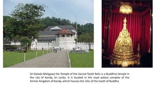 Sri Dalada Maligawa the Temple of the Sacred Tooth Relic is a Buddhist temple in
the city of Kandy, Sri Lanka. It is located in the royal palace complex of the
former Kingdom of Kandy, which houses the relic of the tooth of Buddha
 