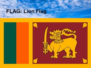 FLAG: Lion Flag
 