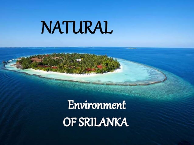  Srilanka 