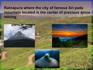 Ratnapura where the city of famous Sri pada
mountain located is the center of precious stone
mining
 