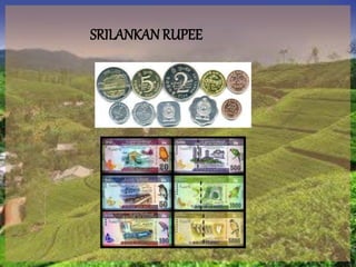 SRILANKANRUPEE
 