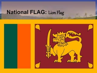 National FLAG: Lion Flag
 