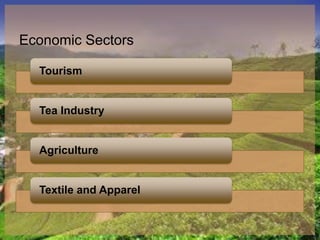 Economic Sectors
Tourism
Tea Industry
Agriculture
Textile and Apparel
 