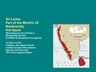 Sri Lanka:  Part of the World's 25 Biodiversity  Hot Spots (Belonging to one of Earth’s  Biologically Richest  and Most Endangered Eco-regions) To fall in to this  Category, the region should  contain at least 1500 endemic Species and have lost 70% of its original habitat 
