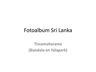 Fotoalbum Sri Lanka Tissamaharama (Bundala en Yalapark) 