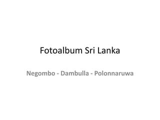 Fotoalbum Sri Lanka Negombo - Dambulla - Polonnaruwa 