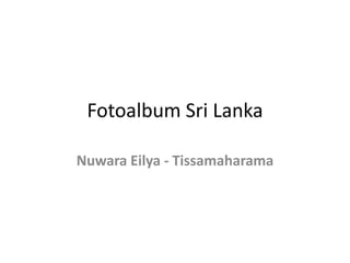 Fotoalbum Sri Lanka NuwaraEilya - Tissamaharama 