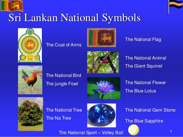 importance of indian ocean region and sri lanka What are chinese attack submarines doing in the indian ocean, far from last fall at the new chinese-built and -owned container terminal in colombo, sri lanka this ocean has become the new global center of trade and energy flows, to create a blue water force and expand its naval role, china is. importance of indian ocean region and sri lanka What are chinese attack submarines doing in the indian ocean, far from last fall at the new chinese-built and -owned container terminal in colombo, sri lanka this ocean has become the new global center of trade and energy flows, to create a blue water force and expand its naval role, china is.