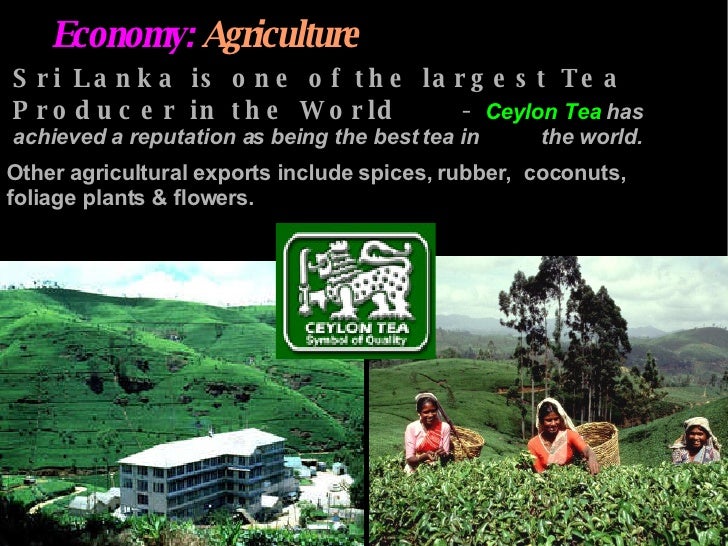 Coffee hour about Sri Lanka