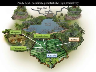 Sri Lankan Village Map Sri Lankan Traditional Knowledge In Adaptation To Climate Change
