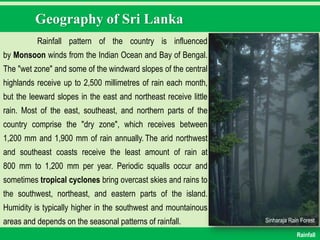 Geography of Sri Lanka
Rainfall pattern of the country is influenced
by Monsoon winds from the Indian Ocean and Bay of Bengal.
The "wet zone" and some of the windward slopes of the central
highlands receive up to 2,500 millimetres of rain each month,
but the leeward slopes in the east and northeast receive little
rain. Most of the east, southeast, and northern parts of the
country comprise the "dry zone", which receives between
1,200 mm and 1,900 mm of rain annually. The arid northwest
and southeast coasts receive the least amount of rain at
800 mm to 1,200 mm per year. Periodic squalls occur and
sometimes tropical cyclones bring overcast skies and rains to
the southwest, northeast, and eastern parts of the island.
Humidity is typically higher in the southwest and mountainous
areas and depends on the seasonal patterns of rainfall. Sinharaja Rain Forest
Rainfall
 