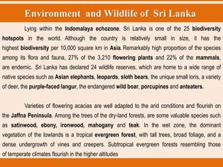 Environment and Wildlife of Sri Lanka
Lying within the Indomalaya echozone, Sri Lanka is one of the 25 biodiversity
hotspots in the world. Although the country is relatively small in size, it has the
highest biodiversity per 10,000 square km in Asia.Remarkably high proportion of the species
among its flora and fauna, 27% of the 3,210 flowering plants and 22% of the mammals,
are endemic. Sri Lanka has declared 24 wildlife reserves, which are home to a wide range of
native species such as Asian elephants, leopards, sloth bears, the unique small loris, a variety
of deer, the purple-faced langur, the endangered wild boar, porcupines and anteaters.
Varieties of flowering acacias are well adapted to the arid conditions and flourish on
the Jaffna Peninsula. Among the trees of the dry-land forests, are some valuable species such
as satinwood, ebony, ironwood, mahogany and teak. In the wet zone, the dominant
vegetation of the lowlands is a tropical evergreen forest, with tall trees, broad foliage, and a
dense undergrowth of vines and creepers. Subtropical evergreen forests resembling those
of temperate climates flourish in the higher altitudes
 