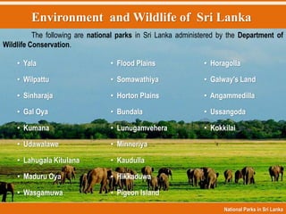 Environment and Wildlife of Sri Lanka
National Parks in Sri Lanka
• Yala
• Wilpattu
• Sinharaja
• Gal Oya
• Kumana
• Udawalawe
• Lahugala Kitulana
• Maduru Oya
• Wasgamuwa
• Flood Plains
• Somawathiya
• Horton Plains
• Bundala
• Lunugamvehera
• Minneriya
• Kaudulla
• Hikkaduwa
• Pigeon Island
• Horagolla
• Galway's Land
• Angammedilla
• Ussangoda
• Kokkilai
The following are national parks in Sri Lanka administered by the Department of
Wildlife Conservation.
 