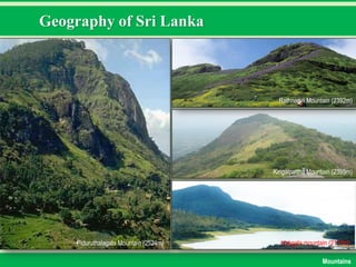 Geography of Sri Lanka
Mountains
Piduruthalagala Mountain (2524m)
Rathnagiri Mountain (2392m)
Hakgala mountain (2170m)
Kirigalpattha Mountain (2395m)
 