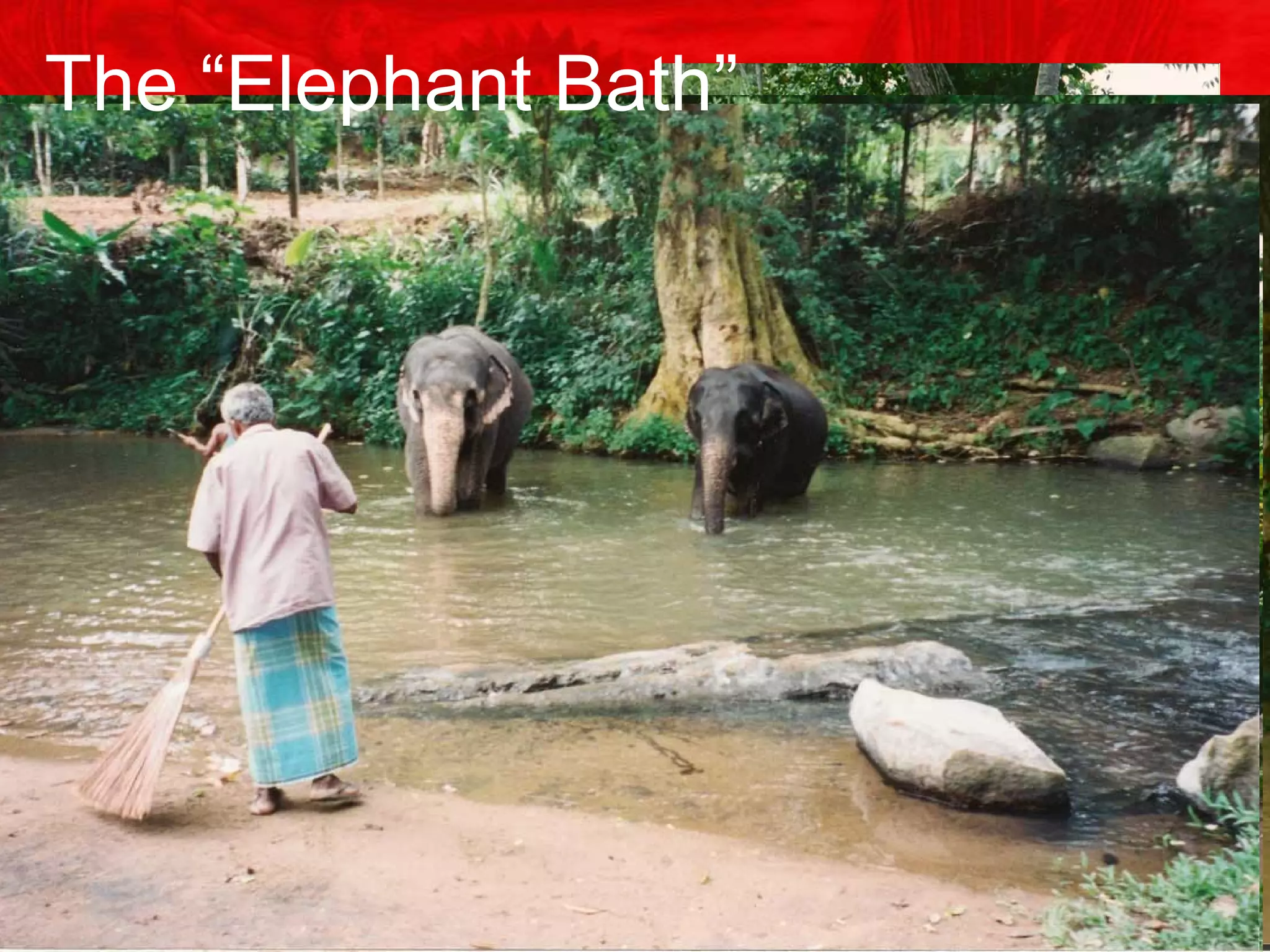 The “Elephant Bath”
 