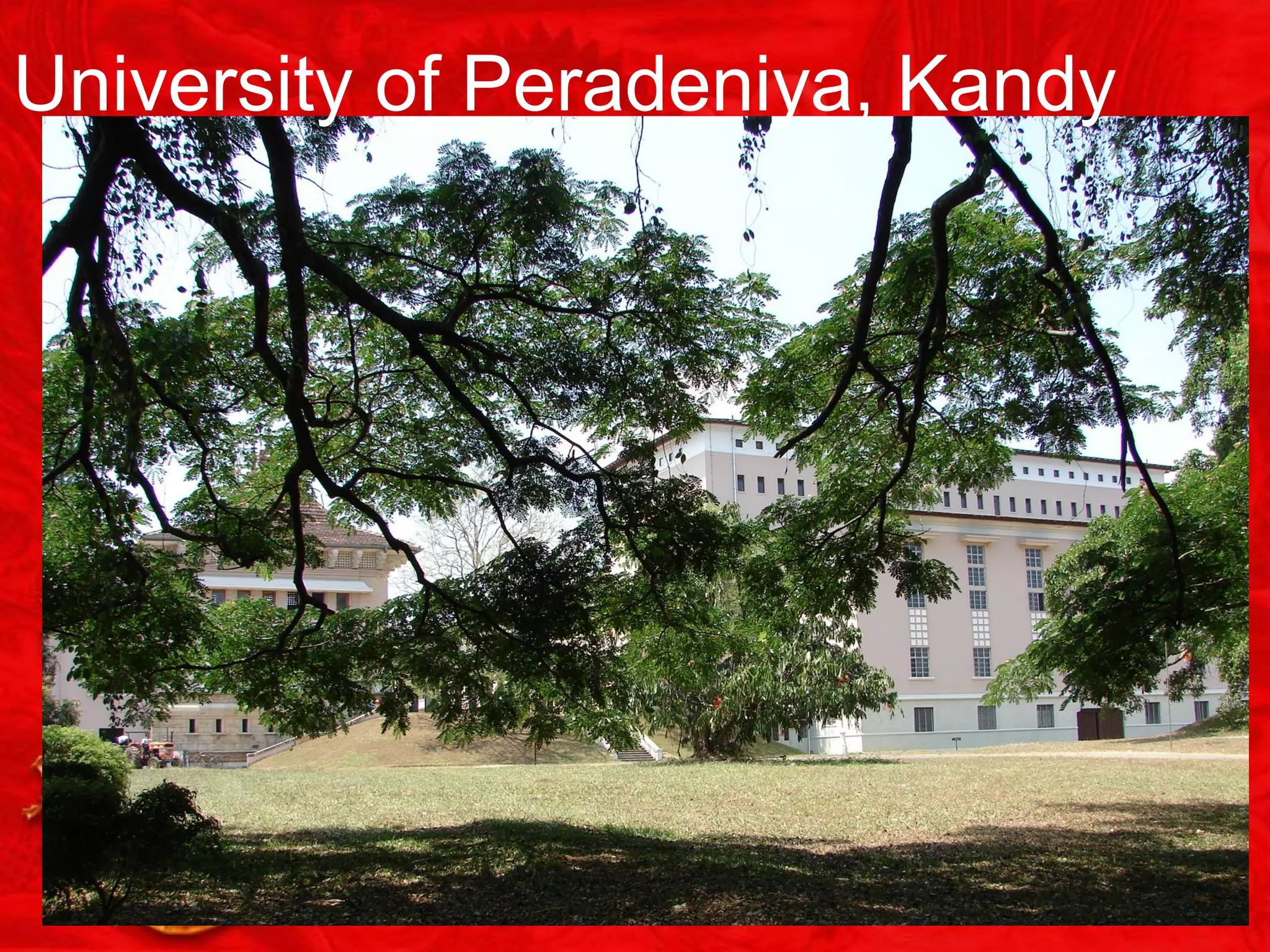 University of Peradeniya, Kandy
 