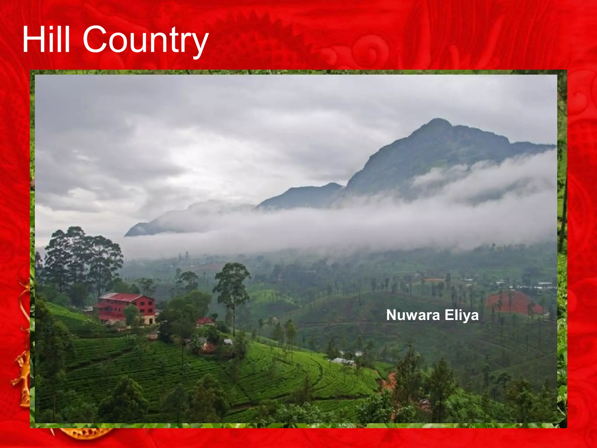 Hill Country
Nuwara Eliya
 