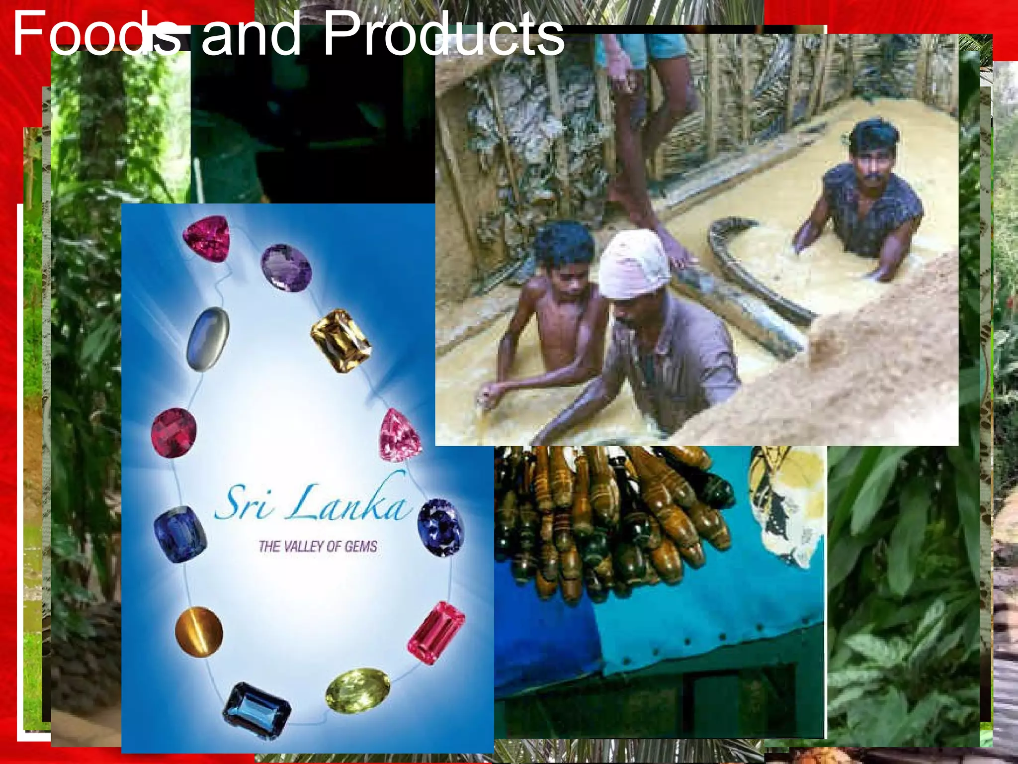 Rambutan
Hoppers
Foods and Products
 