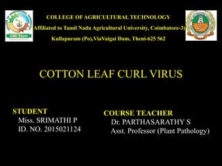 COTTON LEAF CURL VIRUS
COURSE TEACHER
Dr. PARTHASARATHY S
Asst. Professor (Plant Pathology)
STUDENT
Miss. SRIMATHI P
ID. NO. 2015021124
COLLEGE OF AGRICULTURAL TECHNOLOGY
(Affiliated to Tamil Nadu Agricultural University, Coimbatore-3)
Kullapuram (Po),ViaVaigai Dam, Theni-625 562
 
