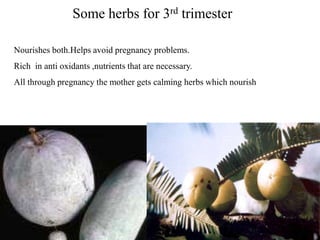 Some herbs for 3rd trimester
Nourishes both.Helps avoid pregnancy problems.
Rich in anti oxidants ,nutrients that are necessary.
All through pregnancy the mother gets calming herbs which nourish
 