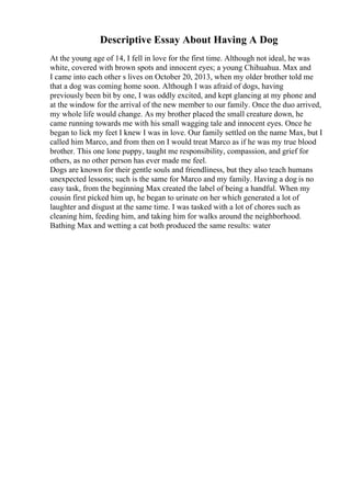 Descriptive Essay About Having A Dog
At the young age of 14, I fell in love for the first time. Although not ideal, he was
white, covered with brown spots and innocent eyes; a young Chihuahua. Max and
I came into each other s lives on October 20, 2013, when my older brother told me
that a dog was coming home soon. Although I was afraid of dogs, having
previously been bit by one, I was oddly excited, and kept glancing at my phone and
at the window for the arrival of the new member to our family. Once the duo arrived,
my whole life would change. As my brother placed the small creature down, he
came running towards me with his small wagging tale and innocent eyes. Once he
began to lick my feet I knew I was in love. Our family settled on the name Max, but I
called him Marco, and from then on I would treat Marco as if he was my true blood
brother. This one lone puppy, taught me responsibility, compassion, and grief for
others, as no other person has ever made me feel.
Dogs are known for their gentle souls and friendliness, but they also teach humans
unexpected lessons; such is the same for Marco and my family. Having a dog is no
easy task, from the beginning Max created the label of being a handful. When my
cousin first picked him up, he began to urinate on her which generated a lot of
laughter and disgust at the same time. I was tasked with a lot of chores such as
cleaning him, feeding him, and taking him for walks around the neighborhood.
Bathing Max and wetting a cat both produced the same results: water
 