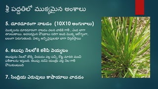 Sri paddy (telugu) | PDF