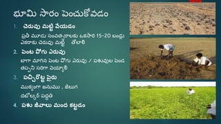 Sri paddy (telugu) | PDF