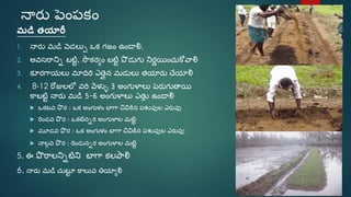 Sri paddy (telugu) | PDF