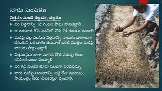 Sri paddy (telugu) | PDF