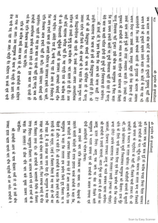 Scan by Easy Scanner
 