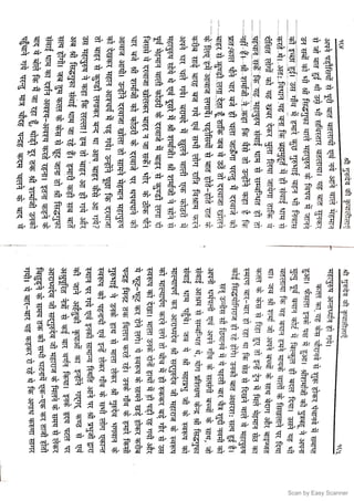 Scan by Easy Scanner
 