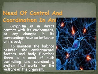 Control of coordination in Plants and animals | PPTX