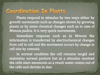 Control of coordination in Plants and animals | PPTX