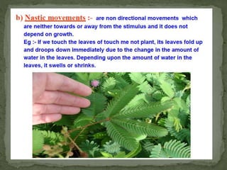 Control of coordination in Plants and animals | PPTX