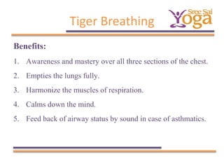 Tiger Breathing
Benefits:
1.
2.
3.
4.
5.

Awareness and mastery over all three sections of the chest.
Empties the lungs fully.
Harmonize the muscles of respiration.
Calms down the mind.
Feed back of airway status by sound in case of asthmatics.

 