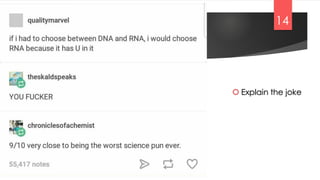  Explain the joke
14
 