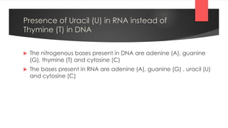 Presence of Uracil (U) in RNA instead of
Thymine (T) in DNA
 The nitrogenous bases present in DNA are adenine (A), guanine
(G), thymine (T) and cytosine (C)
 The bases present in RNA are adenine (A), guanine (G) , uracil (U)
and cytosine (C)
 