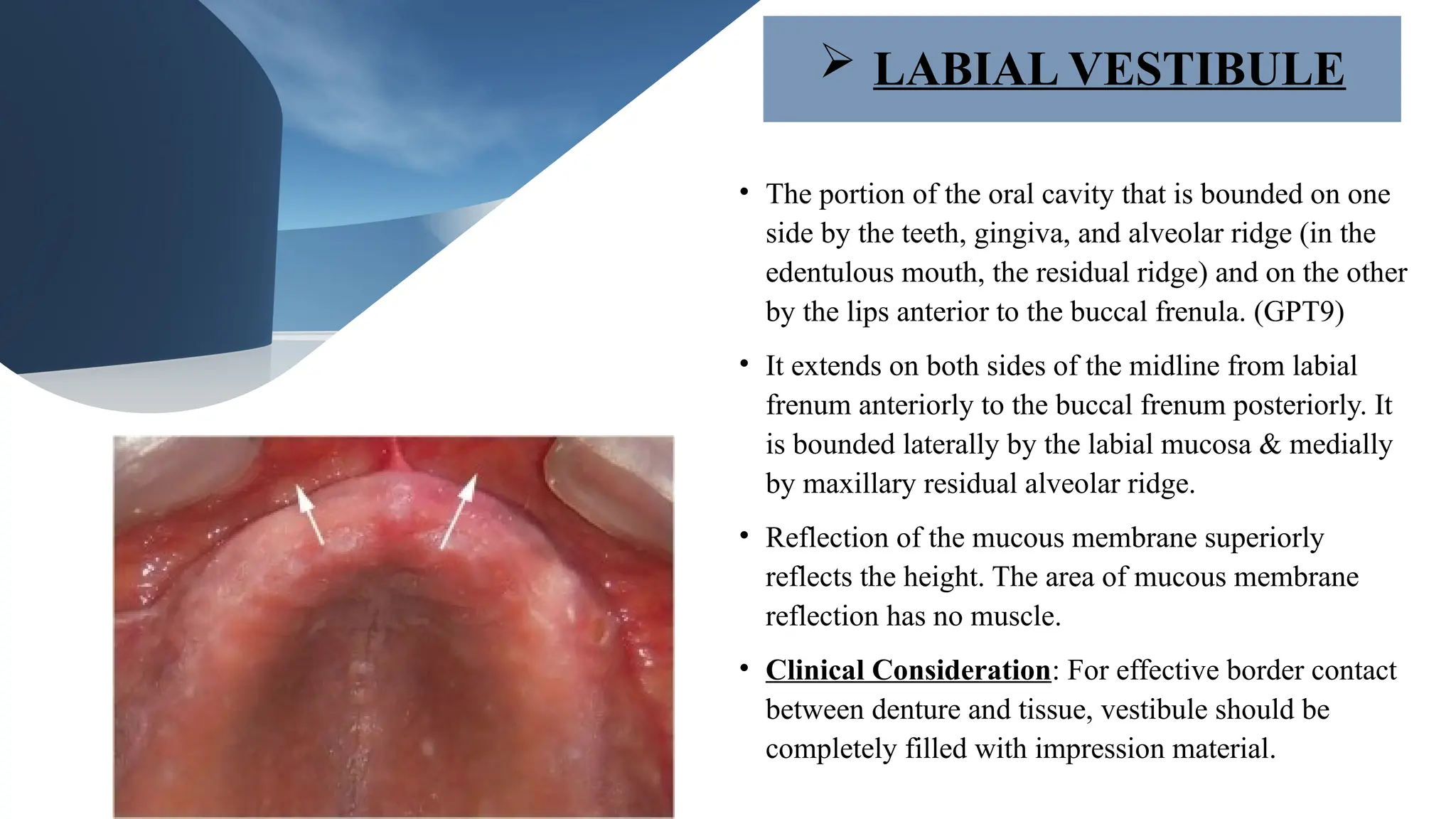 anatomic landmarks of the maxilla and mandible | PPTX