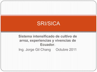 SRI/SICA

Sistema intensificado de cultivo de
 arroz, experiencias y vivencias de
               Ecuador.
Ing. Jorge Gil Chang Octubre 2011
 