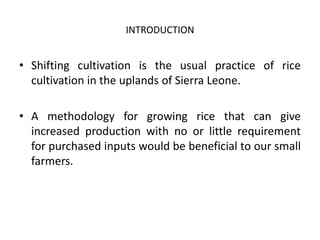 INTRODUCTION


• Shifting cultivation is the usual practice of rice
  cultivation in the uplands of Sierra Leone.

• A met...