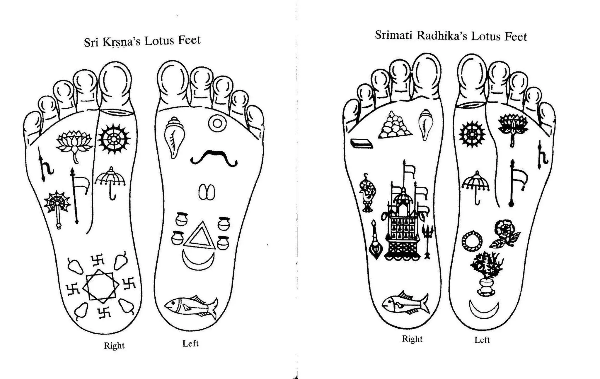Sri Krsna's Lotus Feet Srimati Radhika's Lotus Feet
Right Left
Right Left
 