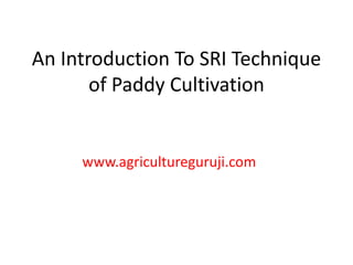 An Introduction To SRI Technique
of Paddy Cultivation
www.agricultureguruji.com
 
