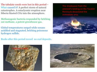 Asteroid impact
The tabulate corals were lost in this period –
What caused it? A perfect storm of natural
catastrophes. A cataclysmic eruption near
Siberia blasted CO2 into the atmosphere.
Methanogenic bacteria responded by belching
out methane, a potent greenhouse gas.
Global temperatures surged while oceans
acidified and stagnated, belching poisonous
hydrogen sulfide.
Rocks after this period record no coal deposits.
tabulate corals
The shockwave from the
asteroid's landing on the Yucatán
Peninsula devastated the
immediate area.
 