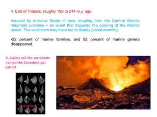 4. End of Triassic, roughly 199 to 214 m.y. ago,
•caused by massive floods of lava, erupting from the Central Atlantic
magmatic province – an event that triggered the opening of the Atlantic
ocean. The volcanism may have led to deadly global warming;
•22 percent of marine families, and 52 percent of marine genera
disappeared.
A jawless eel-like vertebrate
named the Conodont got
extinct
Conodonts
 