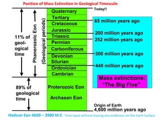 Hadean Eon 4600 – 3900 M.Y. Time lapse without leaving any evidences on the Earth Surface
Position of Mass Extinction in Geological Timescale
 